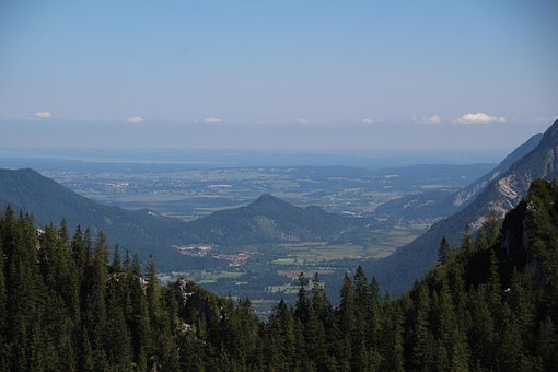 Free Valley Trees photo and picture