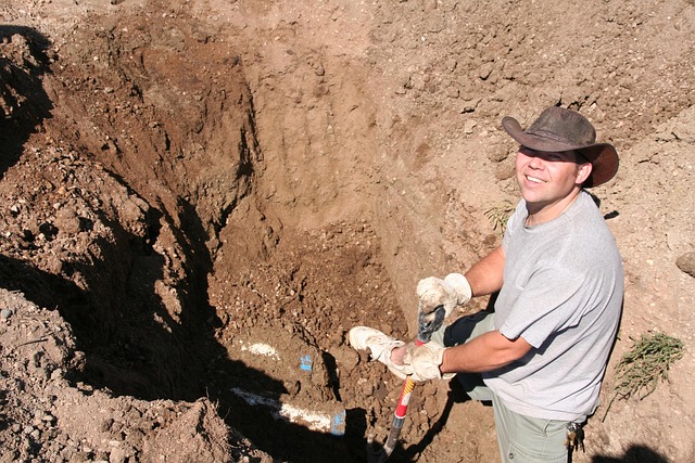 Free photo: Digging, S...