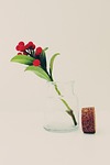 glass, bottle, cork