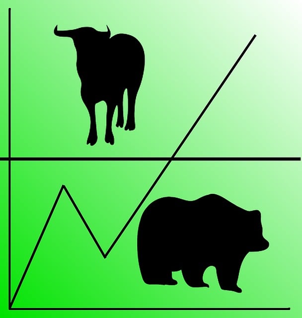 Bear Bull Stock Exchange - Free image on Pixabay