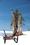 slide, winter, snow