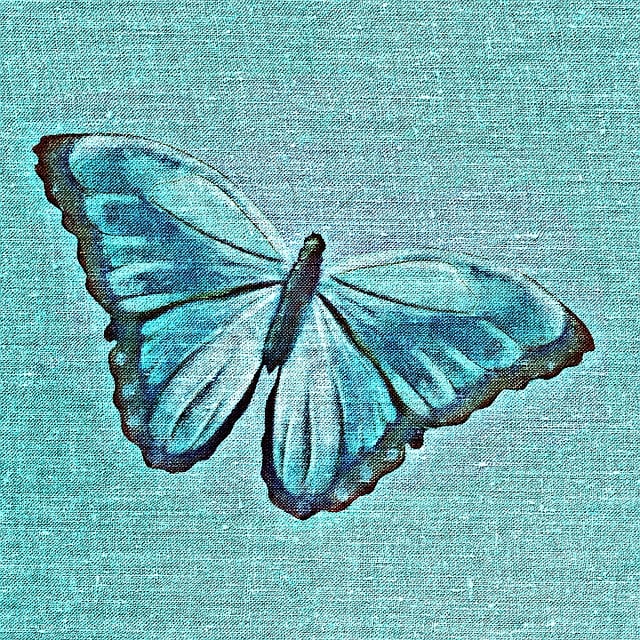 Free butterfly tissue material illustration
