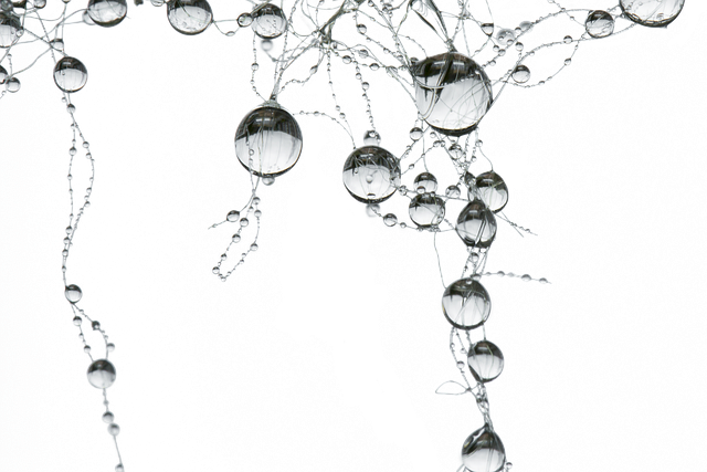drop, decoration, tape, pearl necklace, network, synapse, ball, drop, pearl necklace, pearl necklace, network, network, network, network, network