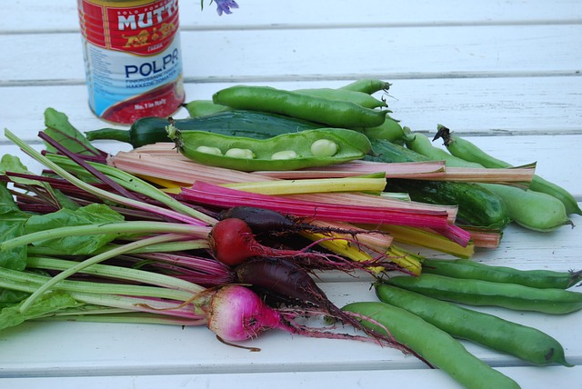 Cultura, Frijoles, Jardín, Verano