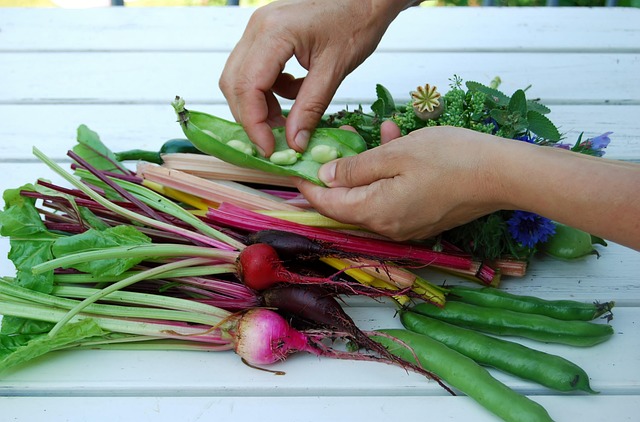 Sucede, Verduras, Cultura, Verano