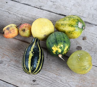 Græskar, Frugt, Efteråret, Æble