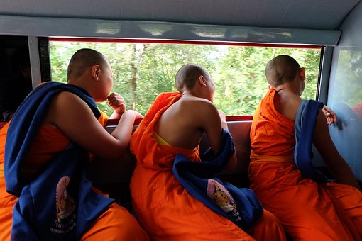 Thailand, Chiang Mai, Farge, Liten Munk