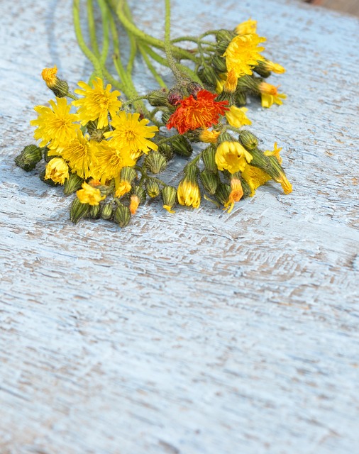 Free Wildflowers Bouquet photo and picture
