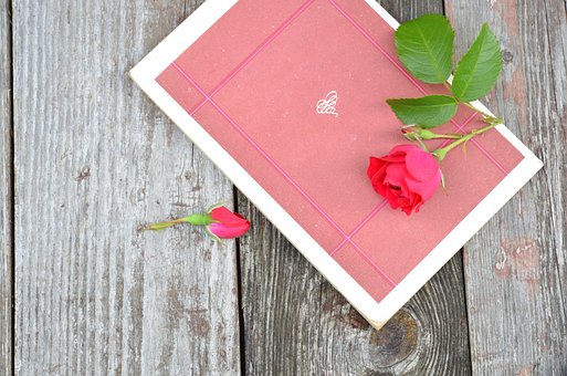 Free Red Rose Book photo and picture