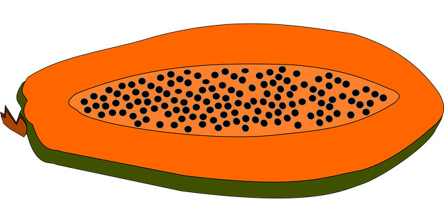 Free papaya fruit food vector