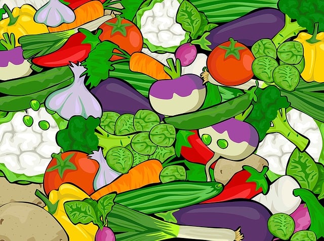 Download free HD stock image of Vegetables Green Free vegetables green sprouts illustration