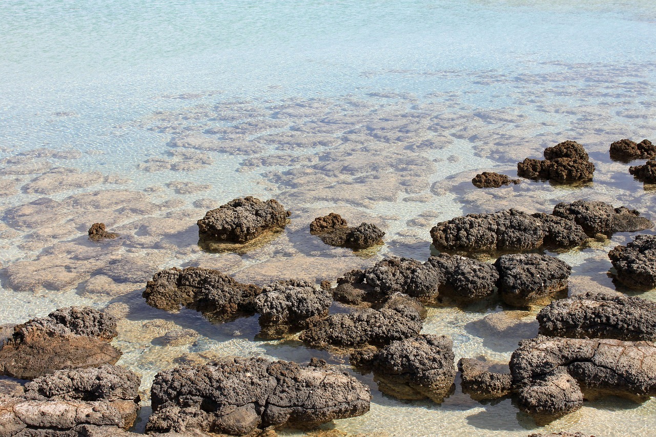 Red Caps Australia Stromatolite Free Photo On Pixabay red-caps-australia-stromatolite-free-photo-on-pixabay