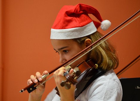 Free Fiddle Violinist photo and picture