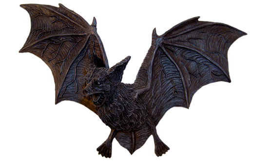 Free Bat Vampire photo and picture