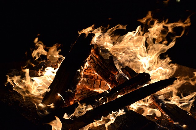 Incêndio, Queimar, Troncos De Árvore