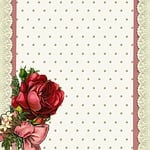 background, lace, rose