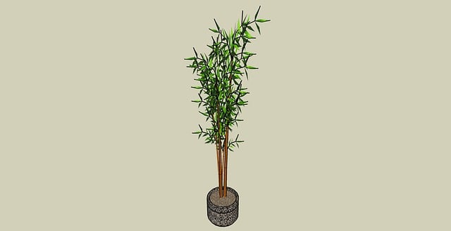 Free Plant House Plant illustration and picture