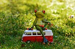 frog, bulli, volkswagen