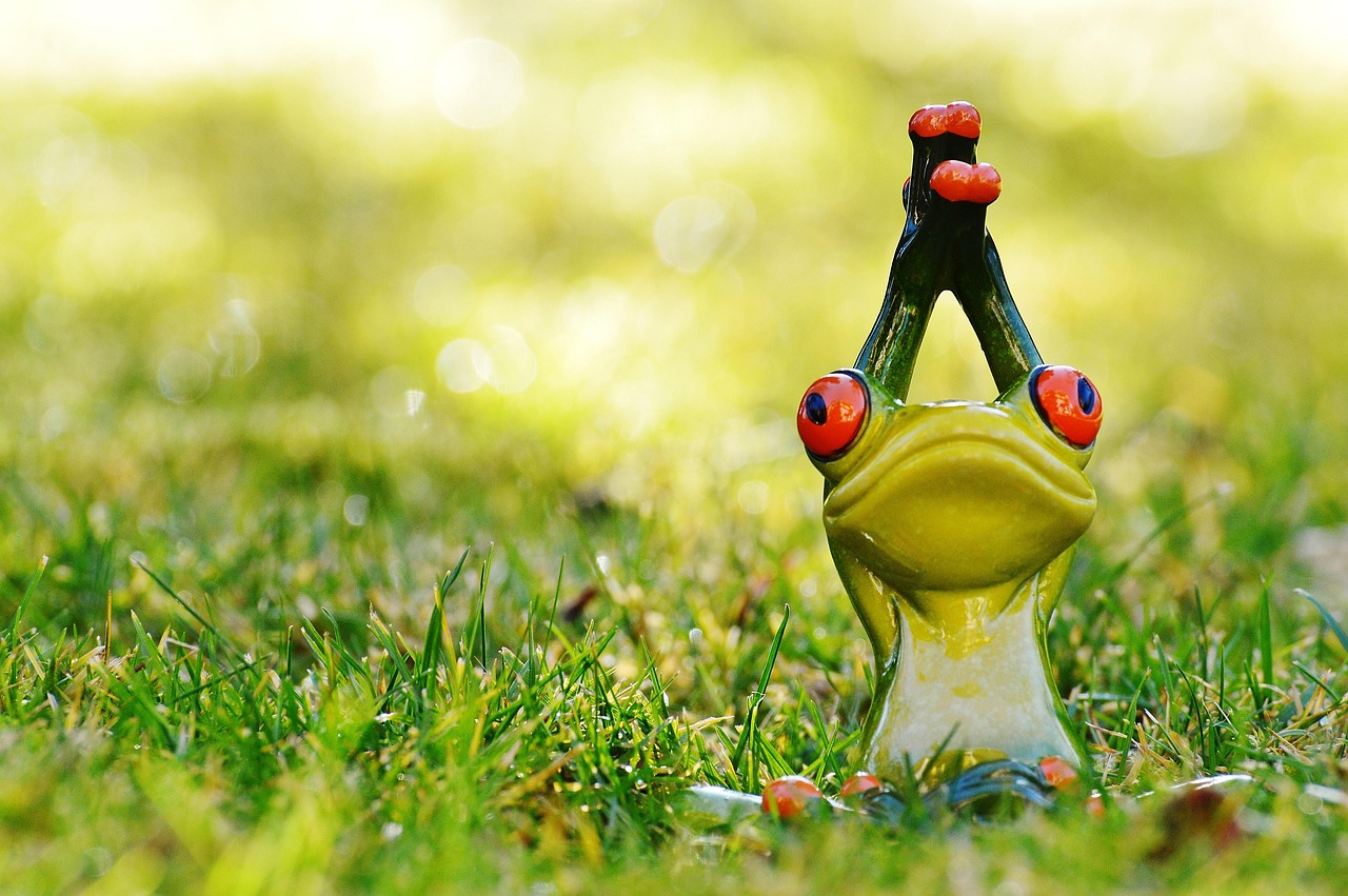 Frog - free online jigsaw puzzle photo