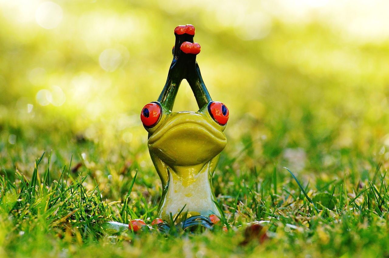 Frog - free online jigsaw puzzle photo