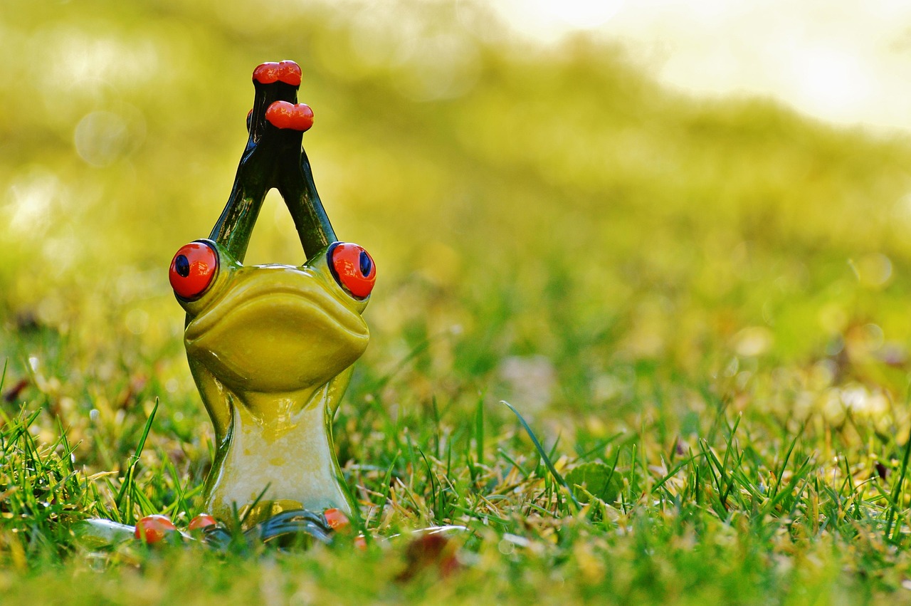 Frog - free online jigsaw puzzle photo