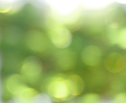 Free Bokeh Green photo and picture