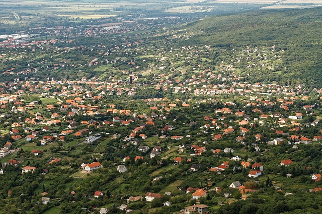Free Aerial View Town photo and picture