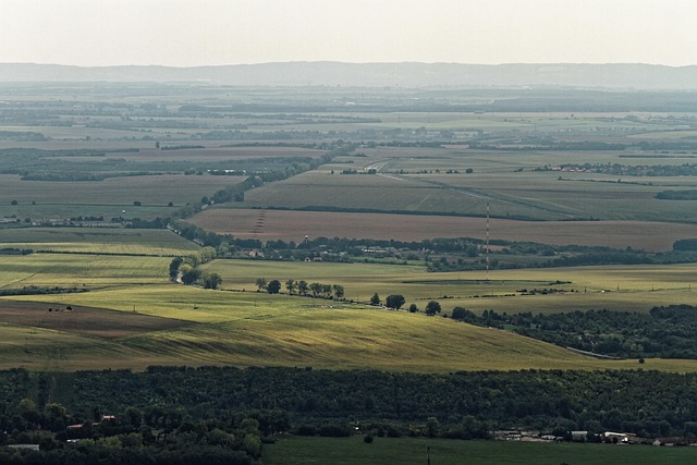 Free Agriculture Aerial View photo and picture
