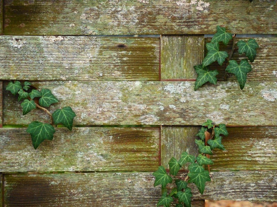 Kostenloses foto: geflochtenen zaun, hintergrund kostenloses ...