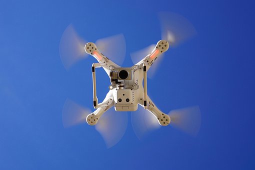 Zumbido, Fantasma, Dji, Profesional