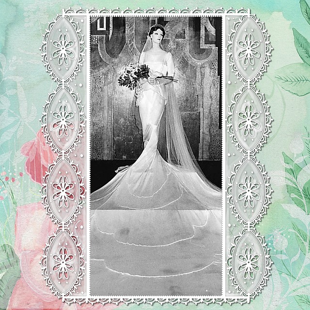 Free lady wedding bride illustration