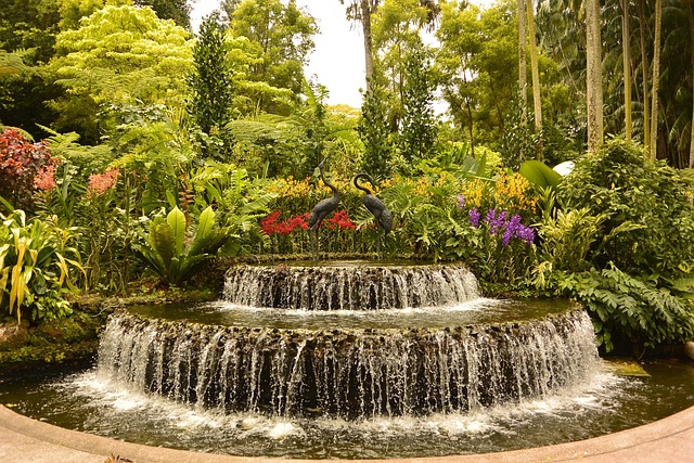 Free Singapore Botanical Garden photo and picture