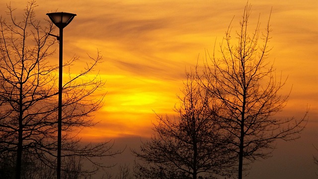 Free Sunset Orange photo and picture
