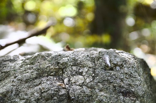 Free Rock Bokeh photo and picture