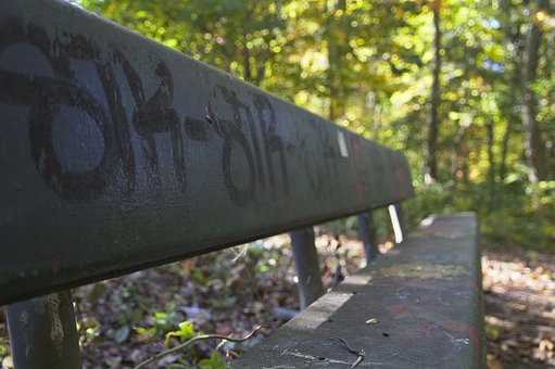 Free Bench Lonely photo and picture