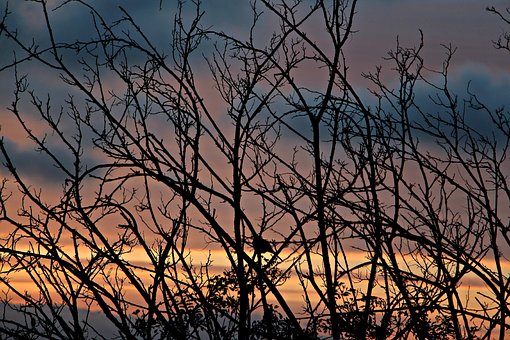 Solnedgang, Skumring, Sunrise, Solopgang