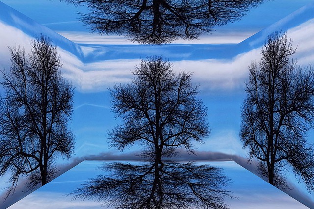 Free tree heaven clouds illustration