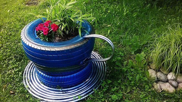 Free Cup Garden photo and picture