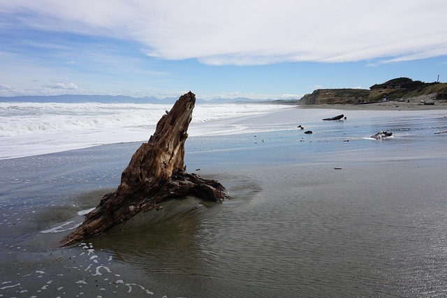 Free New Zealand Beach photo and picture