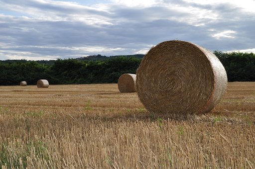 Heu, Stroh, Strohballen, Landwirtschaft