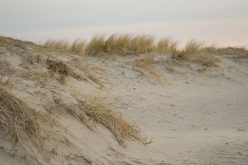 Sand, Strand, Sanddyner, Planter