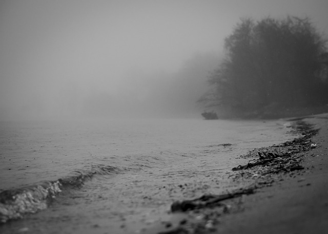 Playa, Agua, Niebla, Naturaleza
