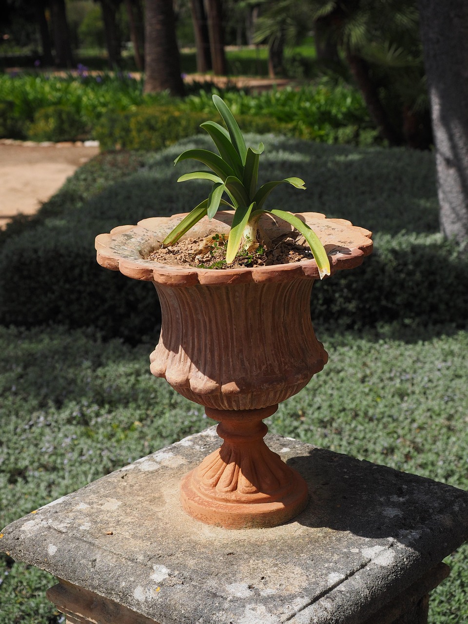 Vase Plant Pot Decoration Old Free photo on Pixabay Pixabay