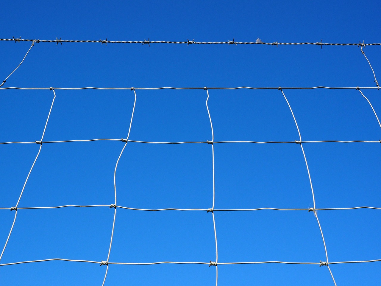 Fence Wild Game Protection Free photo on Pixabay Pixabay