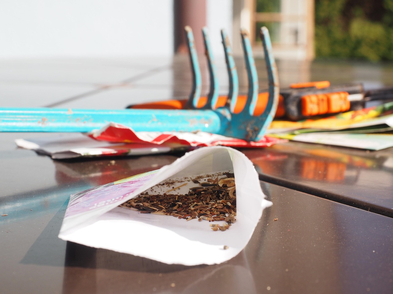 gardening, seeds, sowing, sow, rake, flower seeds, seed mix, gardening, seeds, seeds, sowing, sow, rake, flower seeds, flower seeds, flower seeds, flower seeds, flower seeds, seed mix