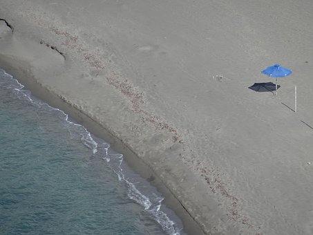 Free Beach Lonely photo and picture