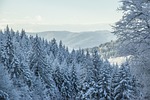 winter in the mountains, beskids, krynica