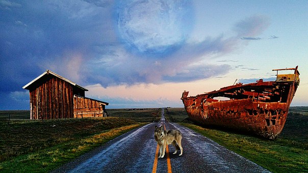 Free Wolf Ship illustration and picture