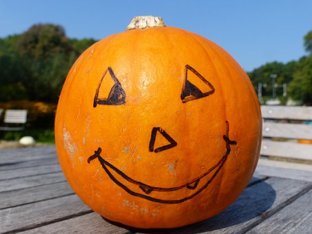 Free Pumpkin Orange photo and picture