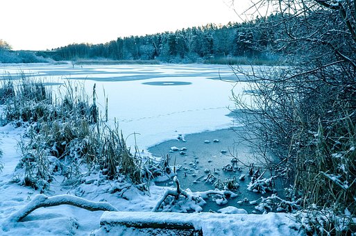 Free Winter Snow photo and picture